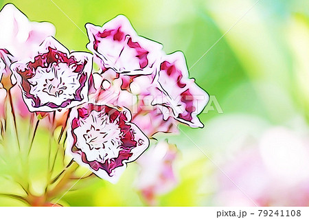 パステル調 カルミアの花 イラストイメージのイラスト素材