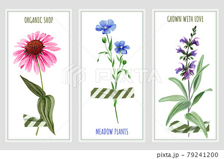 Three vertical banners with wild flowers and tape 79241200
