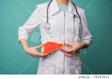 A young female doctor holds a model of a person's liver A young female doctor holds a model of a person's liver 79242013