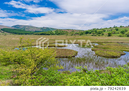 【長野県】霧ヶ峰・八島ヶ原湿原 【長野県】霧ヶ峰・八島ヶ原湿原 79242639