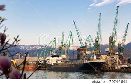 Berthing line of Batumi Sea trade Port with cargo cranes Berthing line of Batumi Sea trade Port with cargo cranes 79242641