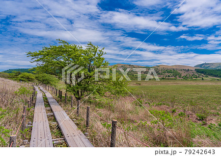 【長野県】霧ヶ峰・八島ヶ原湿原 79242643