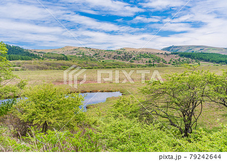 【長野県】霧ヶ峰・八島ヶ原湿原 79242644