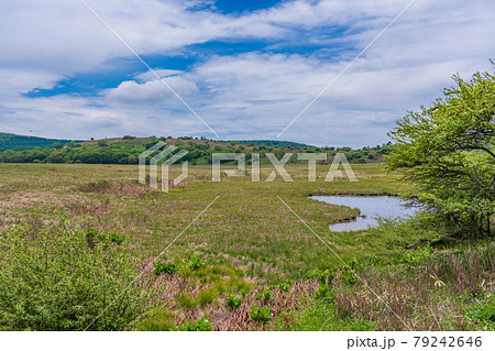 【長野県】霧ヶ峰・八島ヶ原湿原 79242646
