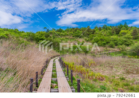 【長野県】霧ヶ峰・八島ヶ原湿原 79242661