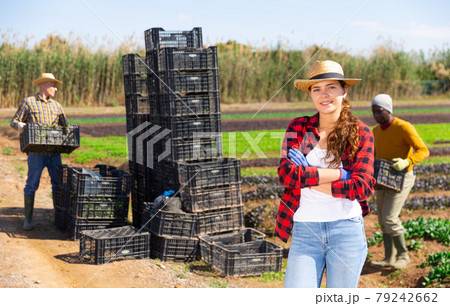 Female farmer posing on leaf vegetables field Female farmer posing on leaf vegetables field 79242662