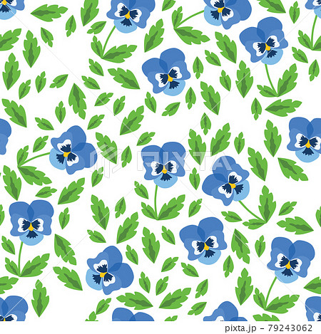pansy seamless pattern with white background pansy seamless pattern with white background 79243062