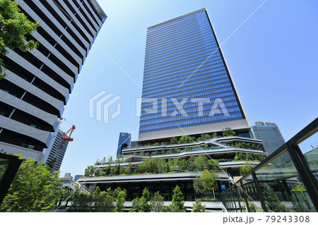 東京　竹芝の都市風景　東京ポートシティ竹芝 79243308