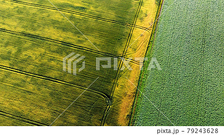 Aerial drone view flight over different agricultural fields sown Aerial drone view flight over different agricultural fields sown 79243628