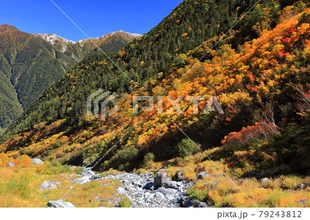 秋の北岳登山 秋の北岳登山 79243812