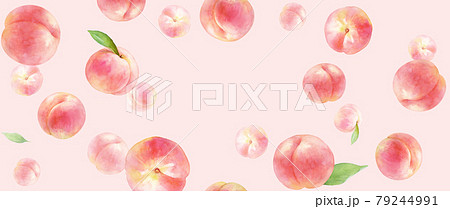 ジューシーな桃の背景 水彩イラスト コピースペースあり ピンク背景 横長サイズ のイラスト素材