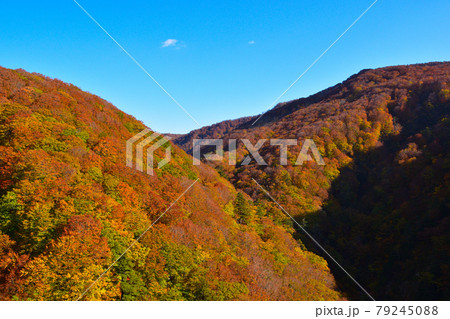 秋　城ヶ倉渓谷 79245088