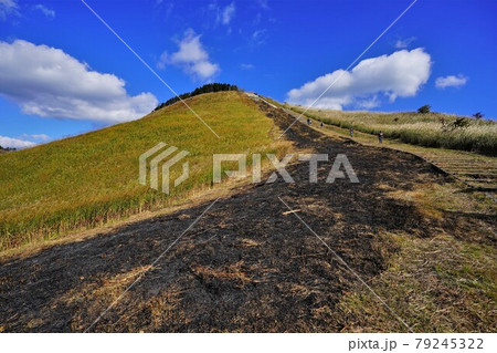 亀山への登山道 79245322