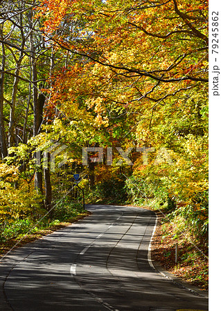 秋　国道102号線 79245862