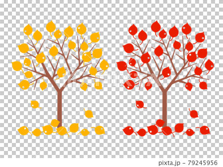 秋天的樹 79245956