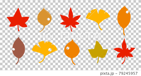 秋天的樹葉矢量集 79245957