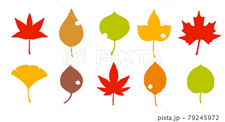 秋の木の葉　ベクターセット 79245972