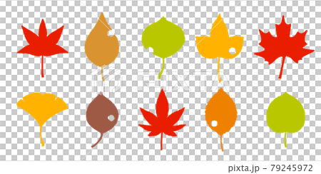 秋の木の葉　ベクターセット 79245972