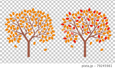 秋天的樹 79245981
