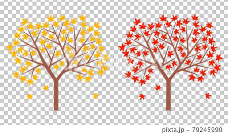 Maple tree vector material - Stock Illustration [79245990] - PIXTA