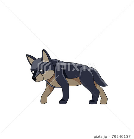 Wolf cub is looking for prey. Cartoon character of a dangerous mammal animal. A wild forest creature with dark fur. Side view. Vector flat illustration isolated on a white background 79246157