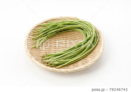 ジュウロクササゲ 79246743