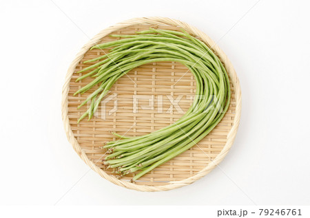 ジュウロクササゲ 79246761