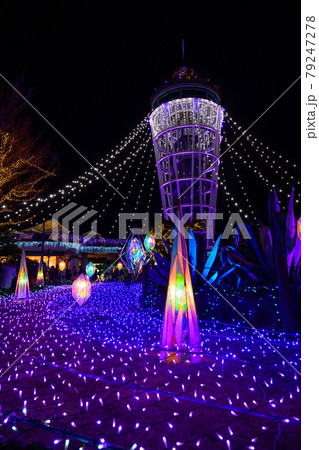 神奈川県藤沢市 江ノ島シーキャンドルライトアップ 神奈川県藤沢市 江ノ島シーキャンドルライトアップ 79247278