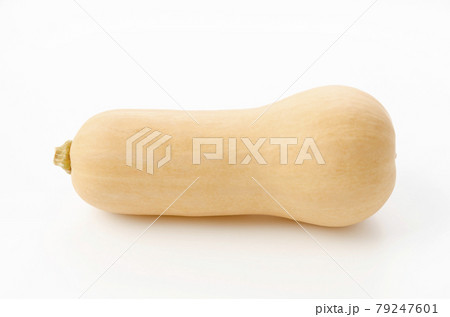 バターナッツかぼちゃ バターナッツかぼちゃ 79247601