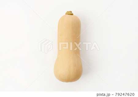 バターナッツかぼちゃ バターナッツかぼちゃ 79247620