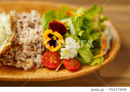 トロピカルなガパオライス食用花を添えて 79247666