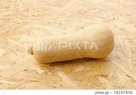 バターナッツかぼちゃ バターナッツかぼちゃ 79247836