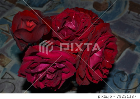 深紅のバラ5輪 深紅のバラ5輪 79251337