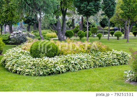 a flower bed with bushes and flowers surrounded by leaves landscaping a garden with plants for a backyard decor in the spring season in the background a park with trees, nobody. a flower bed with bushes and flowers surrounded by leaves landscaping a garden with plants for a backyard decor in the spring season in the background a park with trees, nobody. 79251531