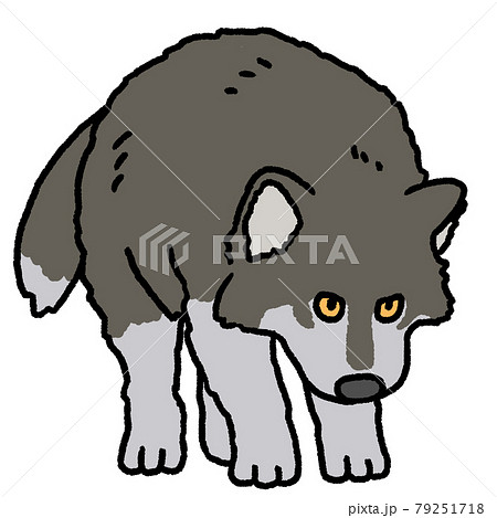 オオカミ オオカミ 79251718
