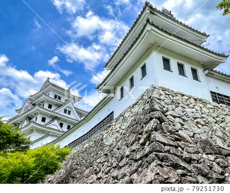 深緑の岐阜県郡上市の郡上八幡城の天守閣と隅櫓 79251730