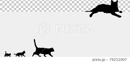 猫のシルエットイラストのフレーム素材 79252007