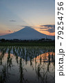 富士山　田んぼに写り込む初夏の夕焼け 79254756