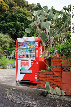 自動販売機とサボテン 自動販売機とサボテン 79254776