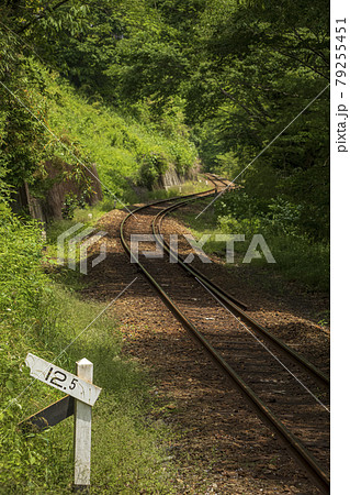 緑が輝く森の中をS字を描きながら抜けていく単線路 79255451