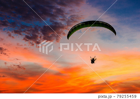 Skydiving sunset landscape of parachutist flying in soft focus. 79255459