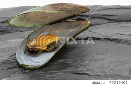 Mussels resting on a black stone slab. 79256401