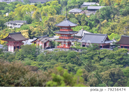京都「豊国廟(阿弥陀ヶ峰 山頂)」より望む新緑の清水寺 京都「豊国廟(阿弥陀ヶ峰 山頂)」より望む新緑の清水寺 79256474