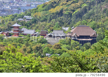 京都「豊国廟（阿弥陀ヶ峰 山頂）」より望む新緑の清水寺 79256490