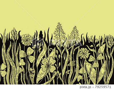 Background with hand drawn meadow herbs. 79259571