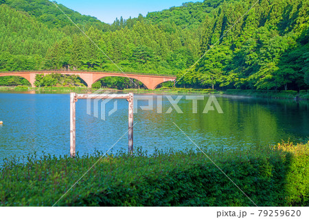 碓氷湖 坂本ダム 初夏の周辺景色 碓氷湖 坂本ダム 初夏の周辺景色 79259620