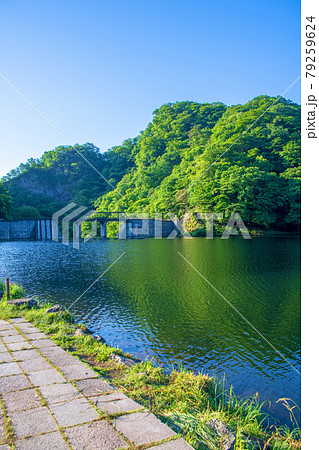 碓氷湖 坂本ダム 初夏の周辺景色 碓氷湖 坂本ダム 初夏の周辺景色 79259624