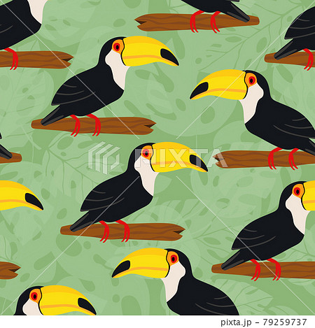 Seamless pattern with cute cartoon toucan bird on branch. Vector illustration for wallpaper, fabric, textile. Summer exotic print. Tropical toucan with floral monstera leaves 79259737