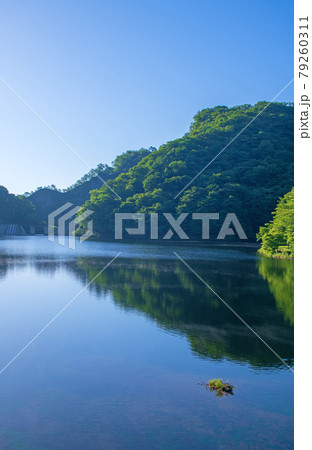 碓氷湖 坂本ダム 夢のせ橋からの初夏の周辺景色 碓氷湖 坂本ダム 夢のせ橋からの初夏の周辺景色 79260311