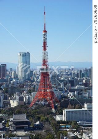 東京　2020年 景色　展望　展望台　俯瞰　遠景　昼間　快晴　青空 79260609